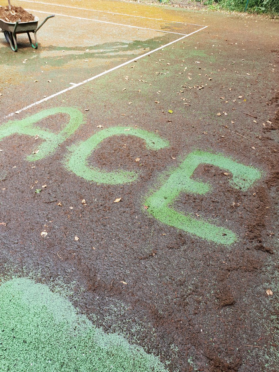 acepowerclean's tweet image. 