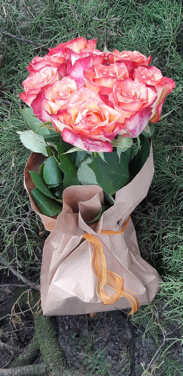 BNaturell's tweet photo. #valentinesdaygift #valentinesday2019 #love#valentinday #valentinstags #valentinstag #valentinstag2019 #roses🌹 #rosenwasser #roseoil #roselover #rosebath #roseöl #rosewater #liebe 💘🌹#naturalcare #naturalproduct #naturallife #Berlin https://t.co/yzXEdzClyi