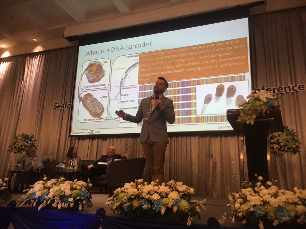SeafoodEmerTech's tweet photo. David Baisch of ConservationX Labs talks genetic fingerprinting and displays some amazing new kit! @conservationx #Genetics #innovation #EmergingTech #SAFET2019 https://t.co/vA7pizep1E