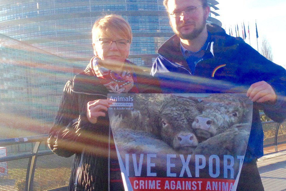 Heute gemeinsam mit Gabi Zimmer (EU-Fraktionsvorsitzende) gegen Tiertransporte. Nachher Abstimmung im Europaparlament für mehr Tierschutz! Kann ein historischer Schritt werden! #stopanimaltransport #tierschutz #endthecageage #govegan