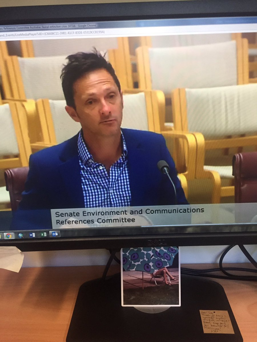 Watching <a href="/BrenWintle/">Brendan Wintle</a> &amp; <a href="/TSR_Hub/">TSR Hub</a> knock it out the park in the #SenateInquiry into our animal extinction crisis.