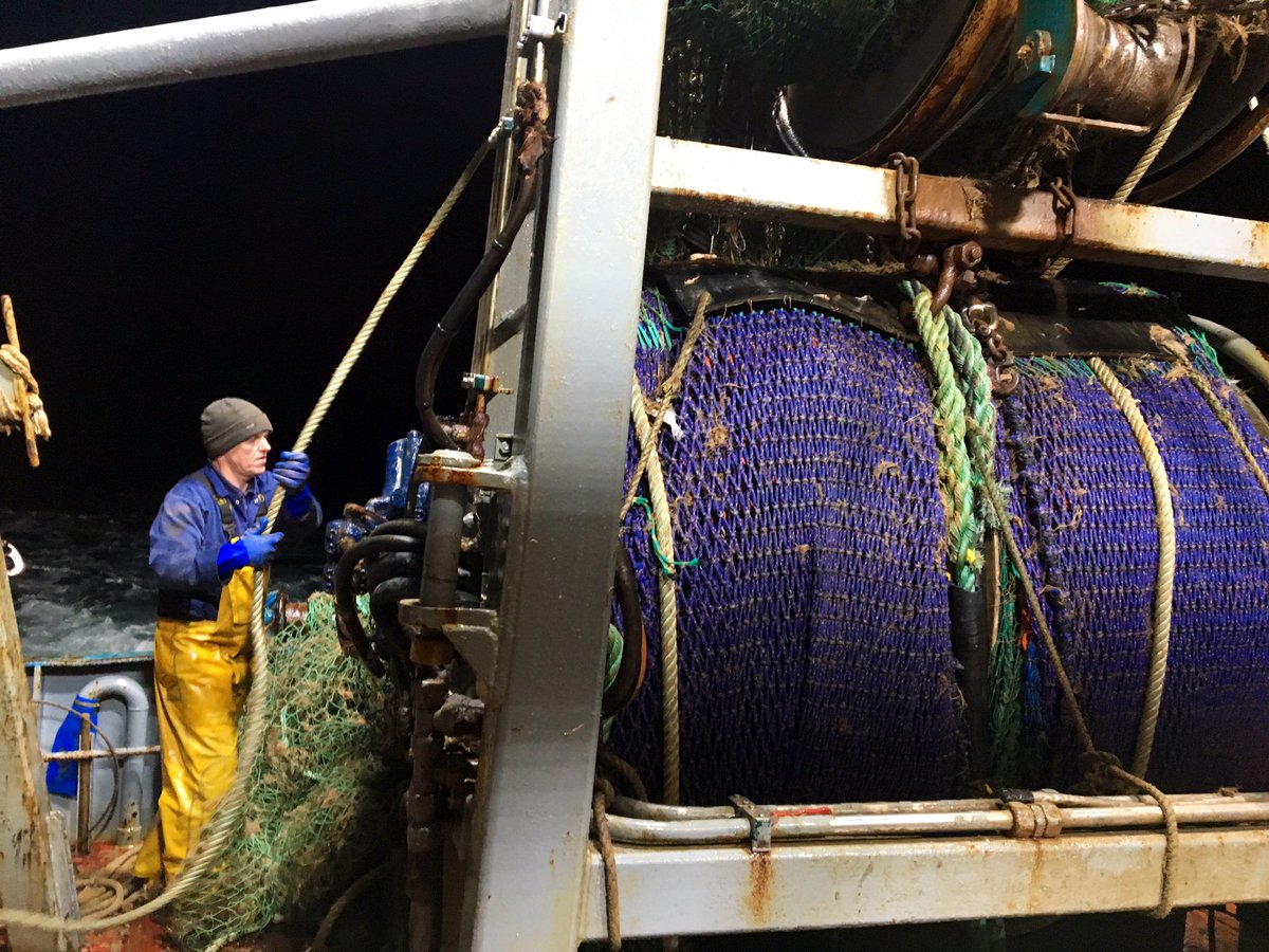 Not your average day at the office today <a href="/Brixhamfishmkt/">Brixham Fish Market</a> <a href="/UKSustain/">Sustain</a> <a href="/FishCities/">SustainableFishCity</a>