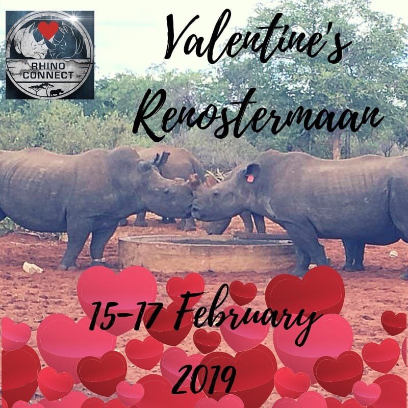 Join us for an unforgettible weekend for more info email us on info@rhinoconnect.co.za. #ValentineDay #valentines #HappyValentines  #ThursdayThoughts #valentinesday #rhinoconservation #rhino #rhinolove #SouthAfrica <a href="/rhino_connect/">RhinoConnect</a>