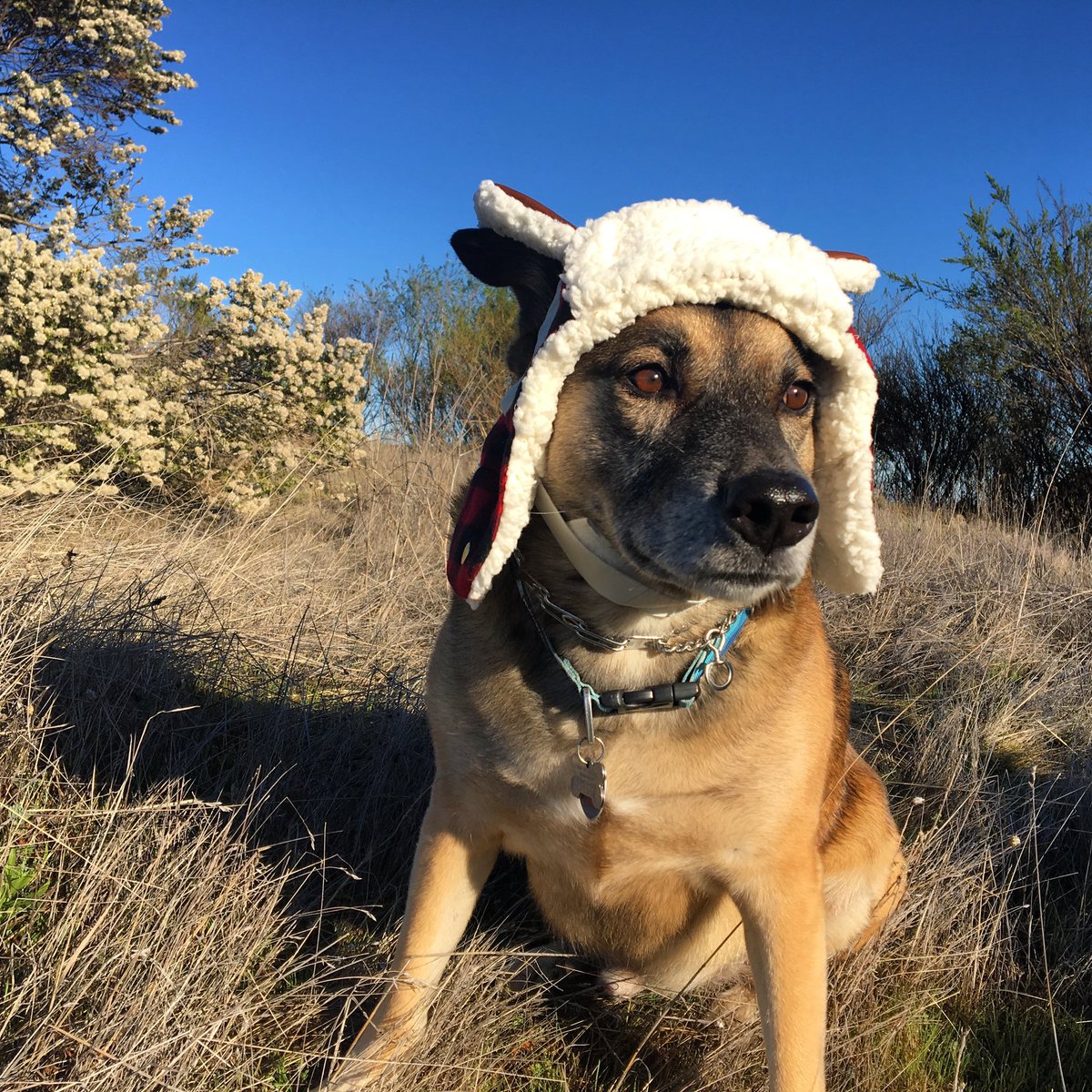 BonnieSCha's tweet photo. @darth Welcome back, Darth! https://t.co/kgooGZQsbA