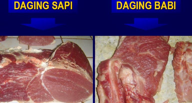 Perbedaan Daging Sapi Dan Babi Setelah Dimasak - Tips Membedakan