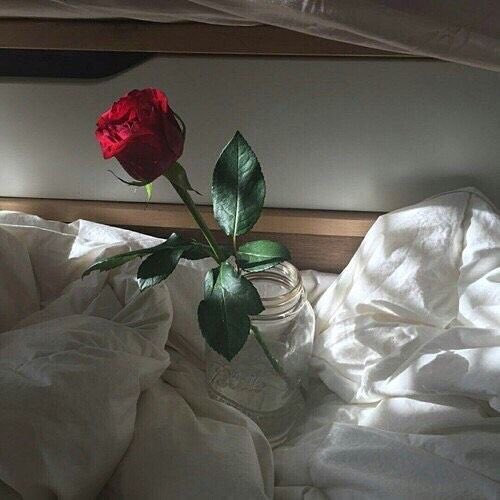 Q TAETAE ♥️ tweet media