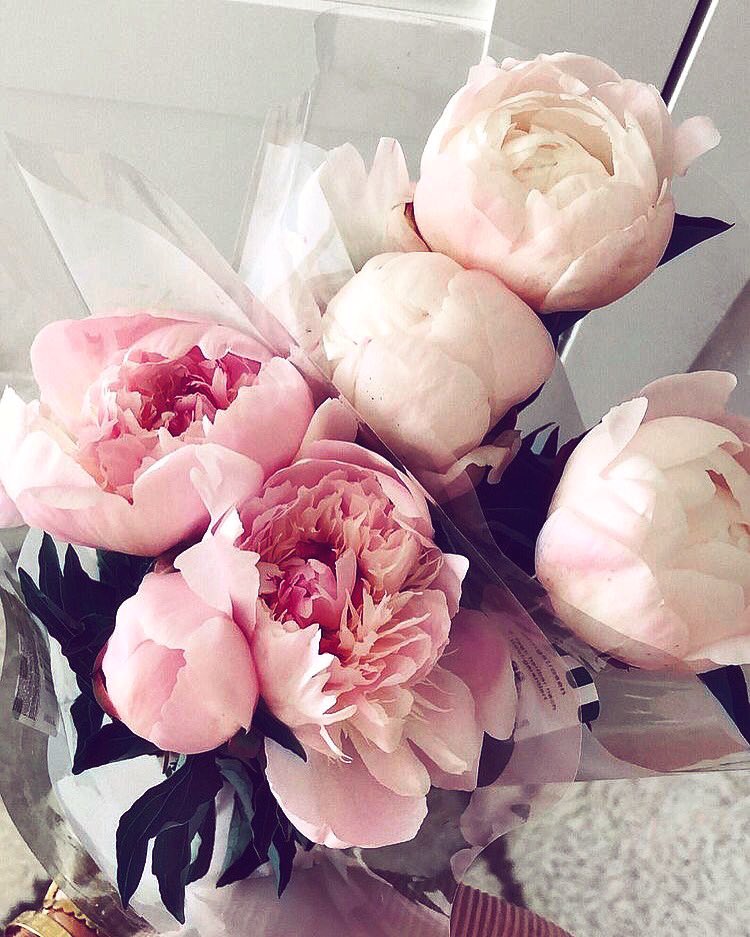 shivanovinfar's tweet photo. Happy Valentine’s Day Lovers ❤️
Photo from @Pinterest 
#ValentineDay #HappyValentinesDay #valentinesdaygift #flower #pinkroses #pink #fashion #fashionista #fashionistastyle #styleinspo #love #lovers #LoveIsInTheAir #❤️ #ethicalfashion #fashionblogger #fashiondesigner https://t.co/R44ajRQFAT