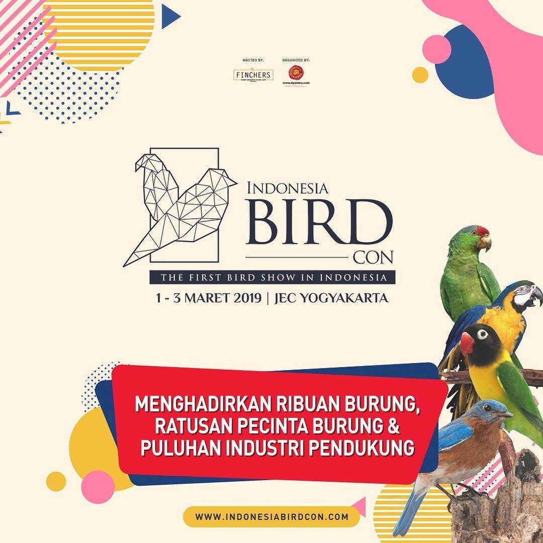 Indonesia Bird Con 2019
The First Bird Show in Indonesia

📆 1-3 Maret 2019
📍 Jogja Expo Center (JEC) Yogyakarta

More info:
indonesiabirdcon.com

#event #TheFirstBirdShowInIndonesia #IBC2019 #IndonesiaBirdCon #eventweb #Indonesia