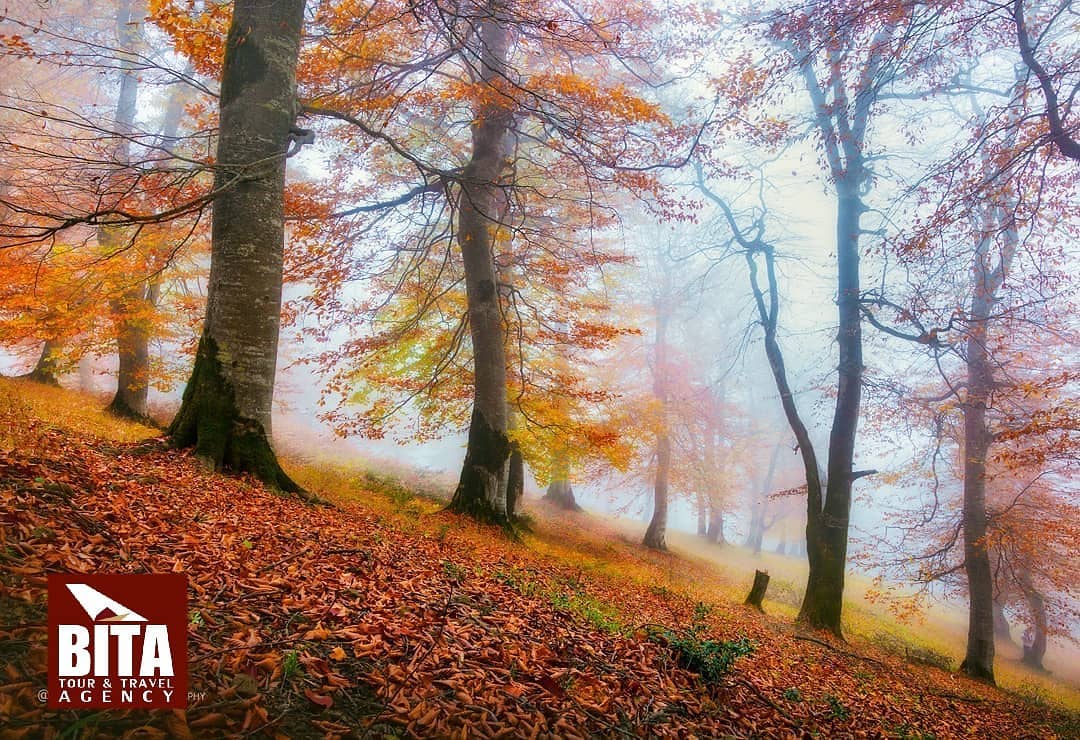 tourbita's tweet photo. Undoubtedly the mountainous #Asalem to Khalkhal road is one of the most gorgeous Iranian roads bridging two northern provinces of #Gilan and #Ardebil together.
#travel #holiday #iran #road #tourbita #nature #visitiran #irantourism #beautifuldestination https://t.co/Ry1h9jyBQ0