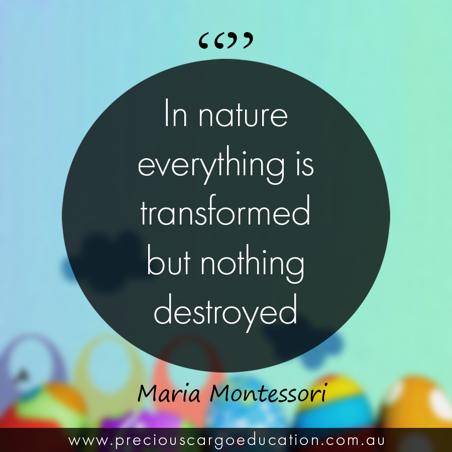 🌼🌳🌸 #PreciousCargoEducation #Montessori