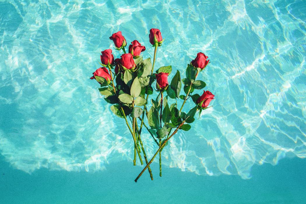 MiellsMonaco's tweet photo. Happy Valentines Day for Miells & Partners... #monaco #montecarlo #miells #miellsandpartners #monacoinfo #monacolife #Monacolifestyle #monacolife #monacoville #monacotravel #monacoroyals #monacoofasia #monacostyle #MONACOINSIGHTS https://t.co/Uy422JXDey