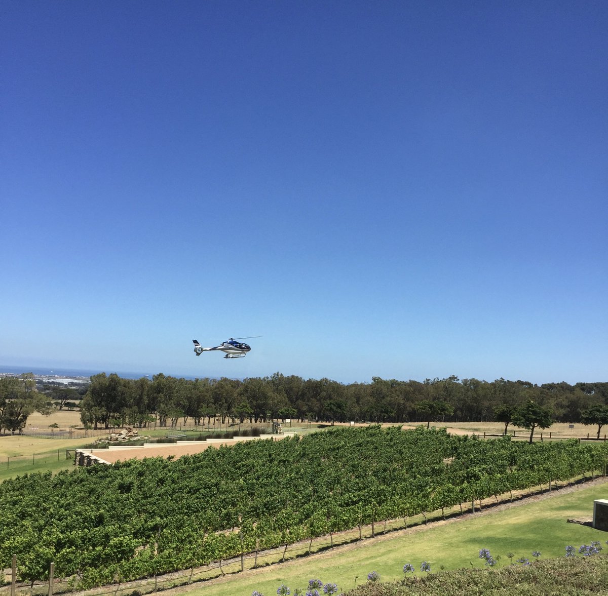 🚁 Did you know you can visit De Grendel via helicopter from the <a href="/VandAWaterfront/">vandawaterfront</a> with <a href="/Helicopters_Cpt/">Cape Town Helicopters</a>?

More details: bit.ly/2tjtr5c 

#CapeTown #DiscoverDurbanville #WineTasting #FineDining
