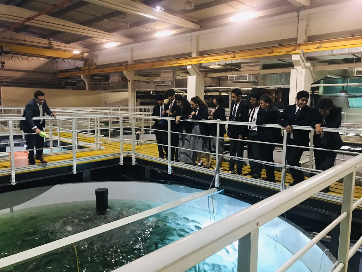 ReptonDXBBio's tweet photo. Year 11 scaling the heights of Jebel Ali Fish Farm learning about how UAE food production can be made more sustainable. #ReptonDXBBio https://t.co/xiF6zKevgB