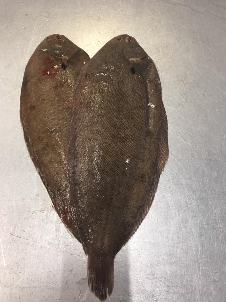 Valentines Day is here
So suppress your hunger 
Buy something special
From your local fishmonger 
😍😍😍😍😍😍😍😍😍
#HappyValentineDay