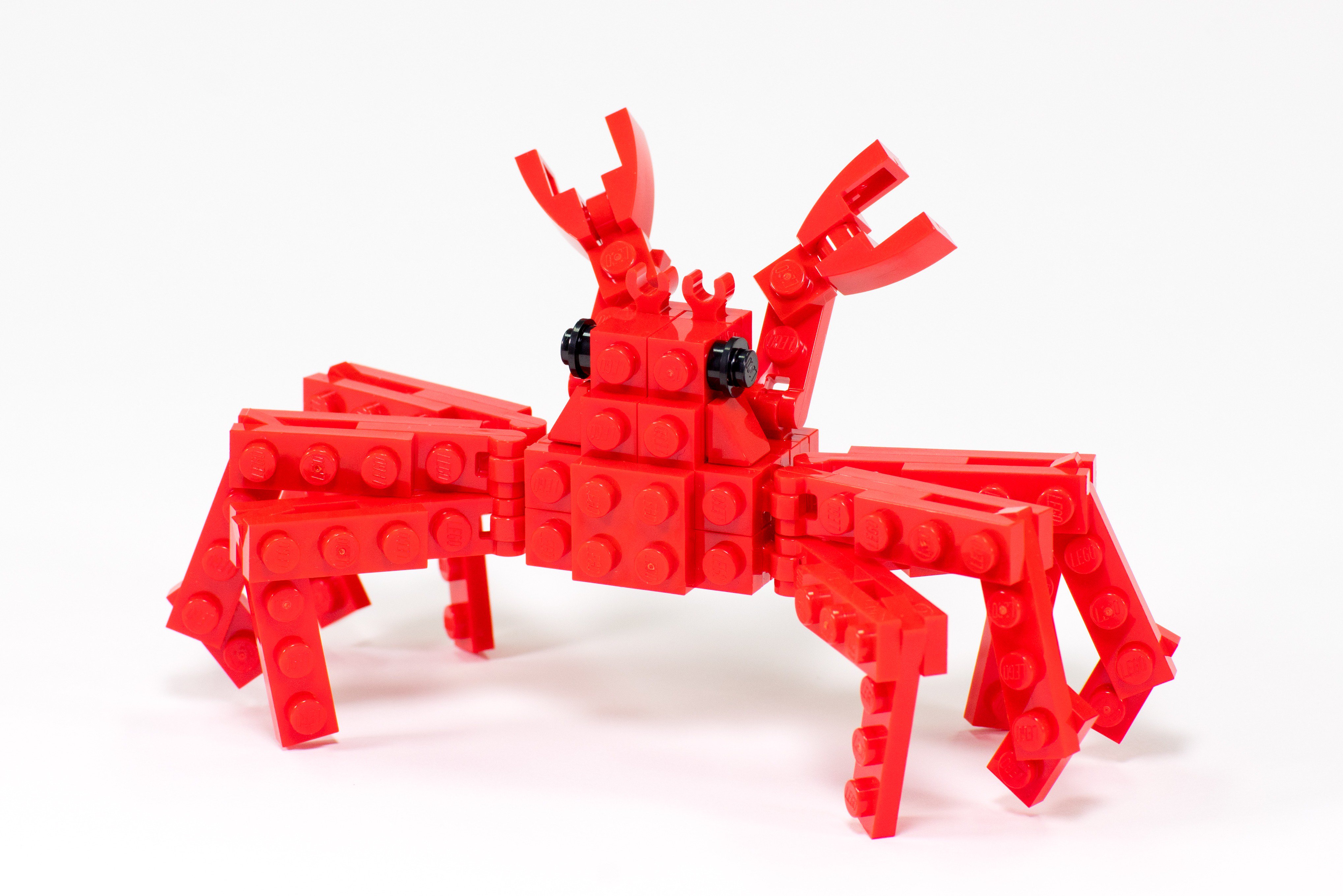 DeepSeaRedCrab 干し蟹 | 暮らす仙台