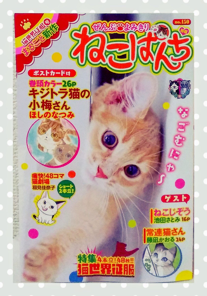 【お知らせ】2/12発売のねこぱんちにて「夏目家の三姉妹~吾輩は猫であるの頃~」4話目が載ってます!夏目漱石と言えば、猫…そして文鳥…。私が過去に飼ったことある動物は猫と文鳥という運命…次号最終回です!よろしくお願いいたします~!\(^o^)/