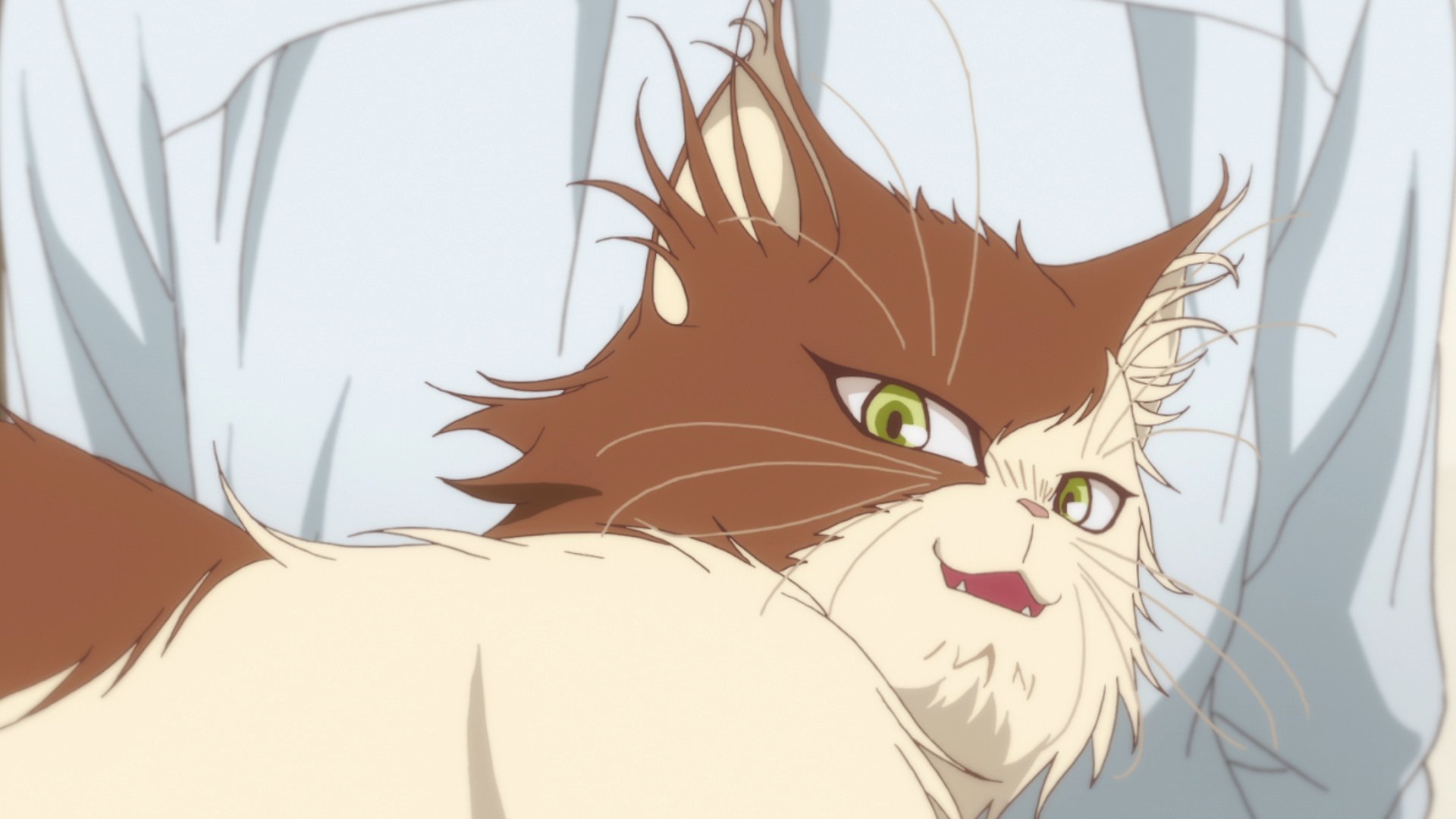 Tvアニメ 同居人はひざ 時々 頭のうえ در توییتر 格好いい 可愛い 猫の ろく 本日第6話放送スタート ななの家で出会った ろく ダンディな性格かと思いきや 第6話