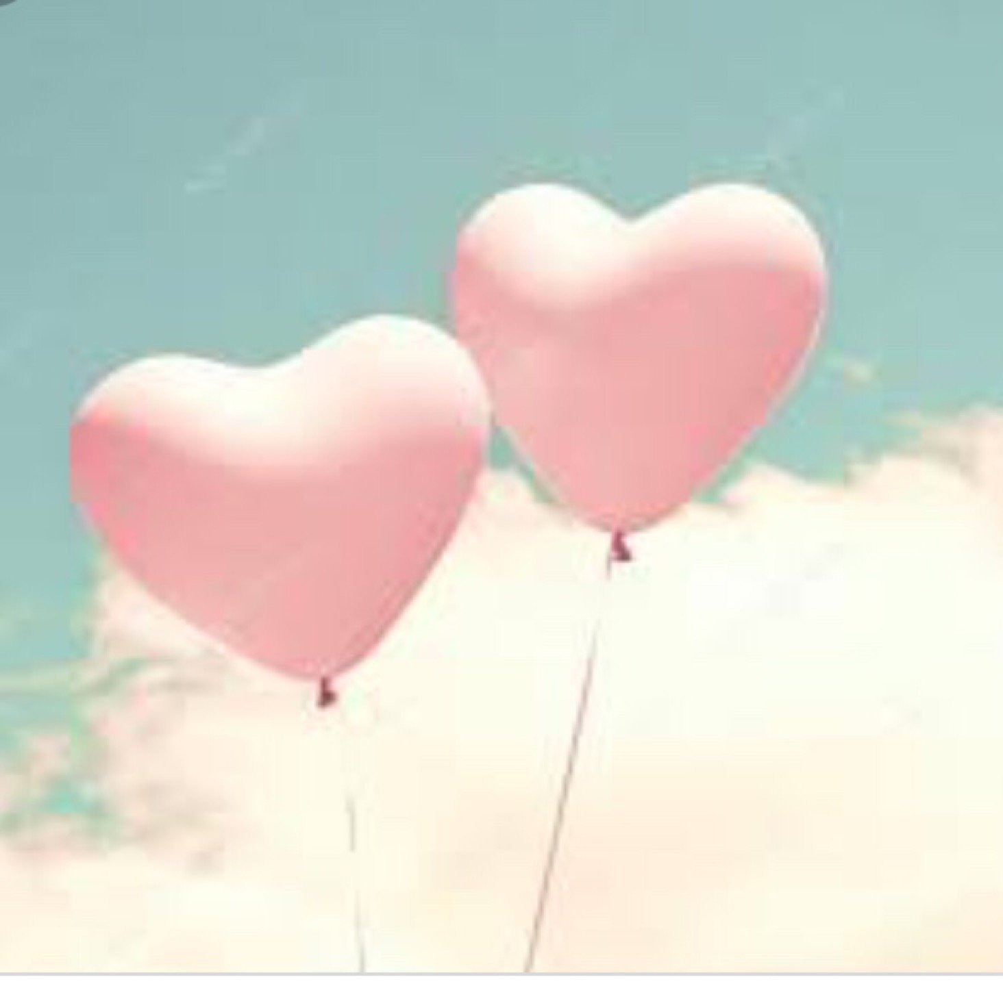 zer zerrinkayakol twitter