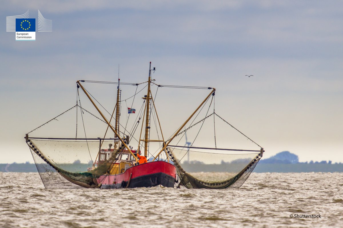 EU_MARE's tweet photo. The provisional agreement that has been reached streamline the #technicalmeasures guiding how, where & when fishermen may fish, as well as determining the type of gear, catch composition & ways to deal with accidental catches. #CFP #BetterRegulation #sustainablefishing https://t.co/rkoaMZqprk