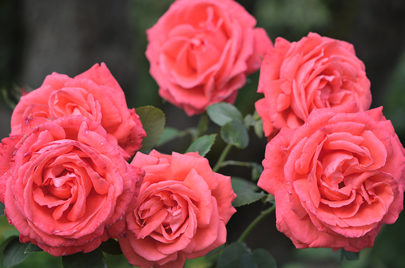 ❤️Happy Valentines Day from #BeaulieuHouse ❤️
<a href="/ancienteastIRL/">Ireland's Ancient East</a> <a href="/Failte_Ireland/">Fáilte Ireland</a> <a href="/IrelandB4UDie/">Ireland Before You Die</a> #Louthchat <a href="/BelfastHourNI/">#BelfastHour</a>