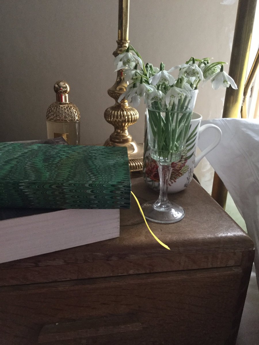 diggerandmojo's tweet image. Love is ..... early morning snowdrops gathered in the mist and a cup of coffee. Thanks to Workshop - my hero #Valentine #ValentinesDay