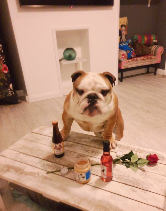 Look at his handsome face... and all the effort he went to..  how could you not want to be his #valentine<a href="/tag/valentine"class="tags"><span>#valentine</span></a>