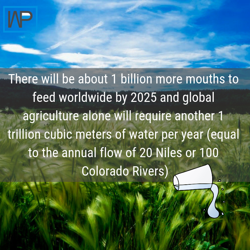 Water management really is key to adapting to the world to come. Be an active citizen, and ensure your home and business are doing all they can to secure a sustainable #Future4Water. 
#plumbers #waterwise #waterwarrior #globalwatercrisis #agriculture #populationgrowth #SDG6