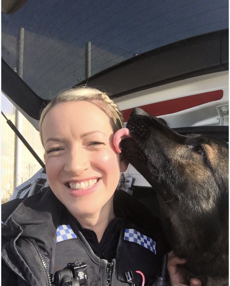 pd_chase's tweet photo. ❤️ Happy Valentines Day ❤️ old pic but still one of my favs....and yes I will be mostly spending it with this one on a training day covered in mud &amp; dog hair, what better way eh 😁🐾 https://t.co/r63YajA1wO