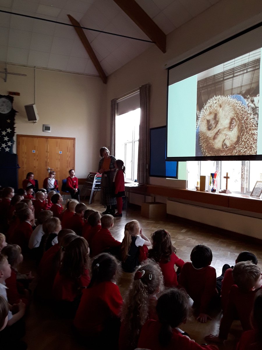 EastergateCe's tweet photo. Helping the hedgehogs! If you want to help some hedgehogs you could bring in some old towels, newspapers, dog or cat food or washing up liquid!#helpinghand #brentlodge https://t.co/KZa8QKMgrs