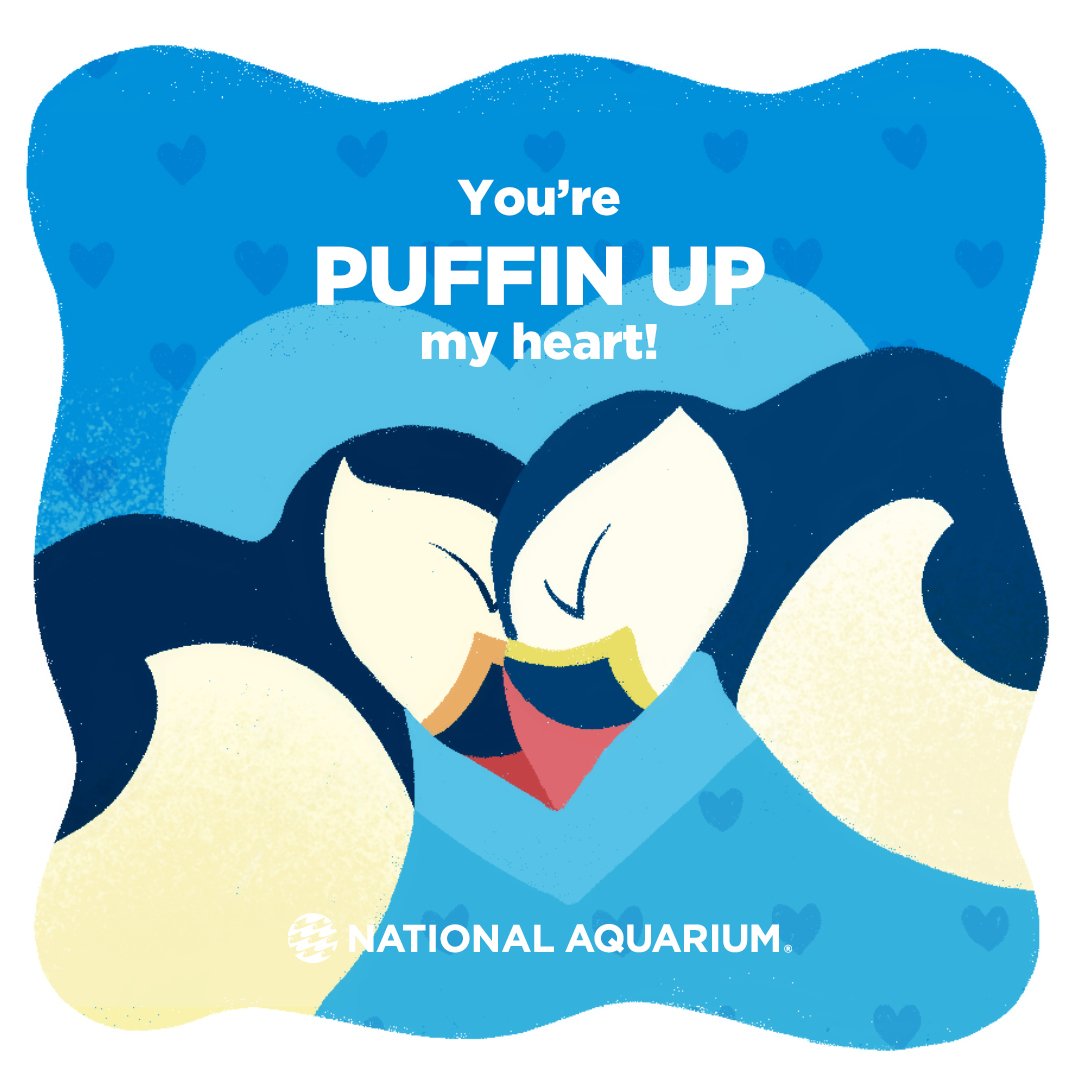 National Aquarium on X: If your valentine loves aquatic puns