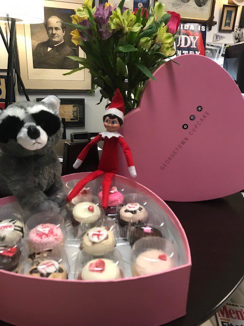 TAPPY VALINTIME'S DAY to all my little cherubs!!  <a href="/TheLeadCNN/">The Lead CNN</a> <a href="/CNNSotu/">State of the Union</a> <a href="/elfontheshelf/">elfontheshelf</a>  #loveyourelf #cupidismyfriend <a href="/GTownCupcake/">Georgetown Cupcake</a>