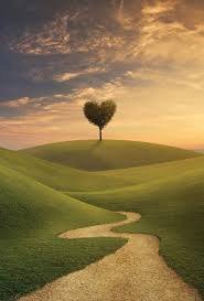 Happy Valentine's Day from our yard to yours!!! 

#LandscapeLove