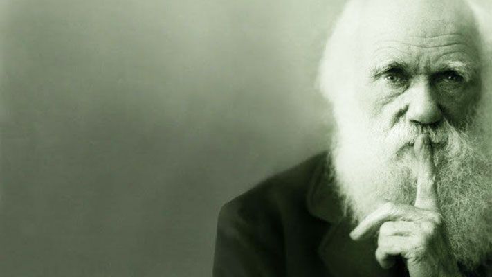 museumtoulouse's tweet photo. [SCIENCES ACTU] Pourquoi il faut toujours défendre #Darwin et la théorie de l’évolution https://t.co/p90zlyiUVS #Evolution #Theoriedelevolution #Homme #Histoire https://t.co/CjTHBNu9gS
