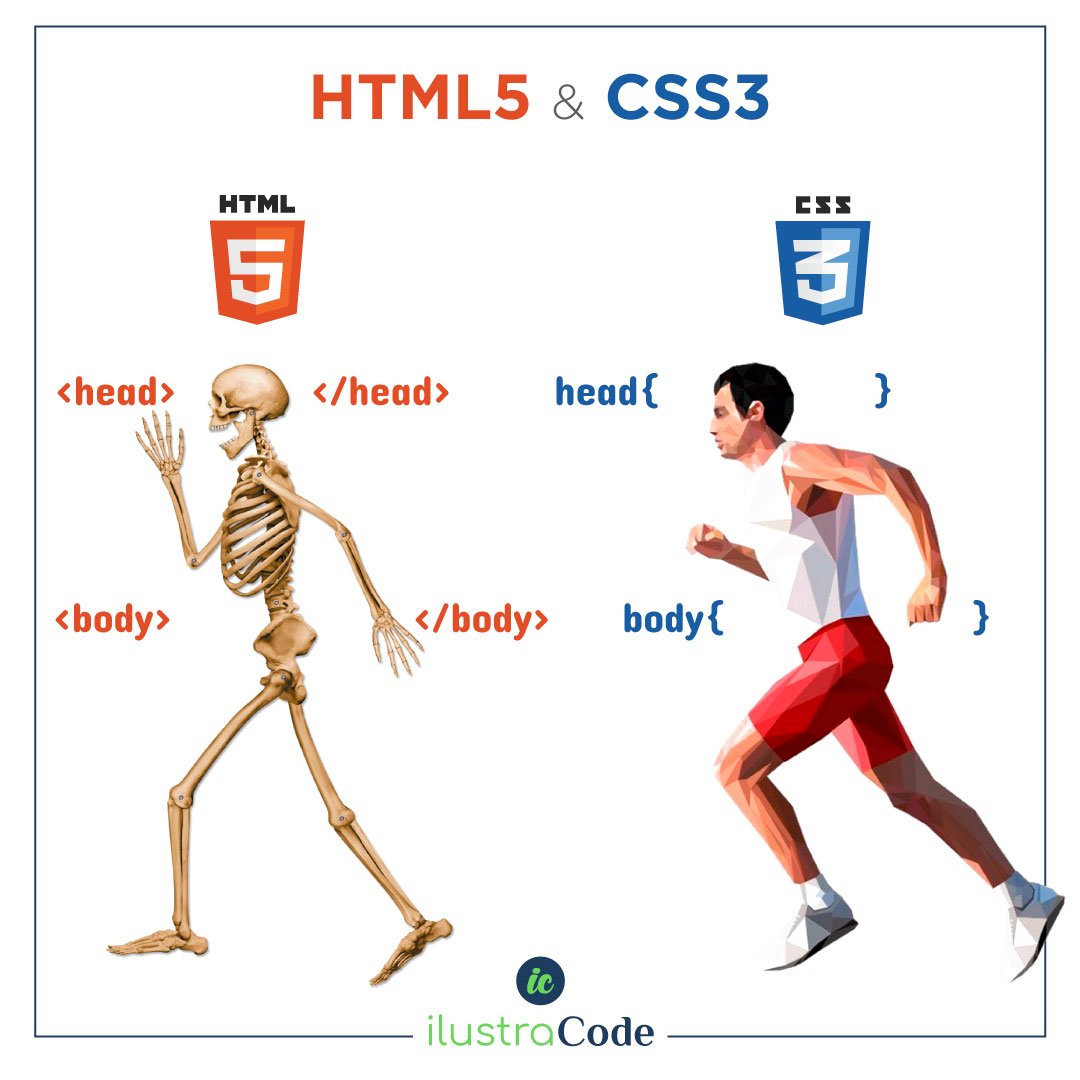 ilustraCode's tweet image. A imagem já responde tudo! Podemos dizer que o HTML é a estrutura do site, antigamente era muito comum fazer sites somente em HTML, mas com o avanço da programação, o CSS passou a fazer parte no desenvolvimento de sites, não há como separá-los.