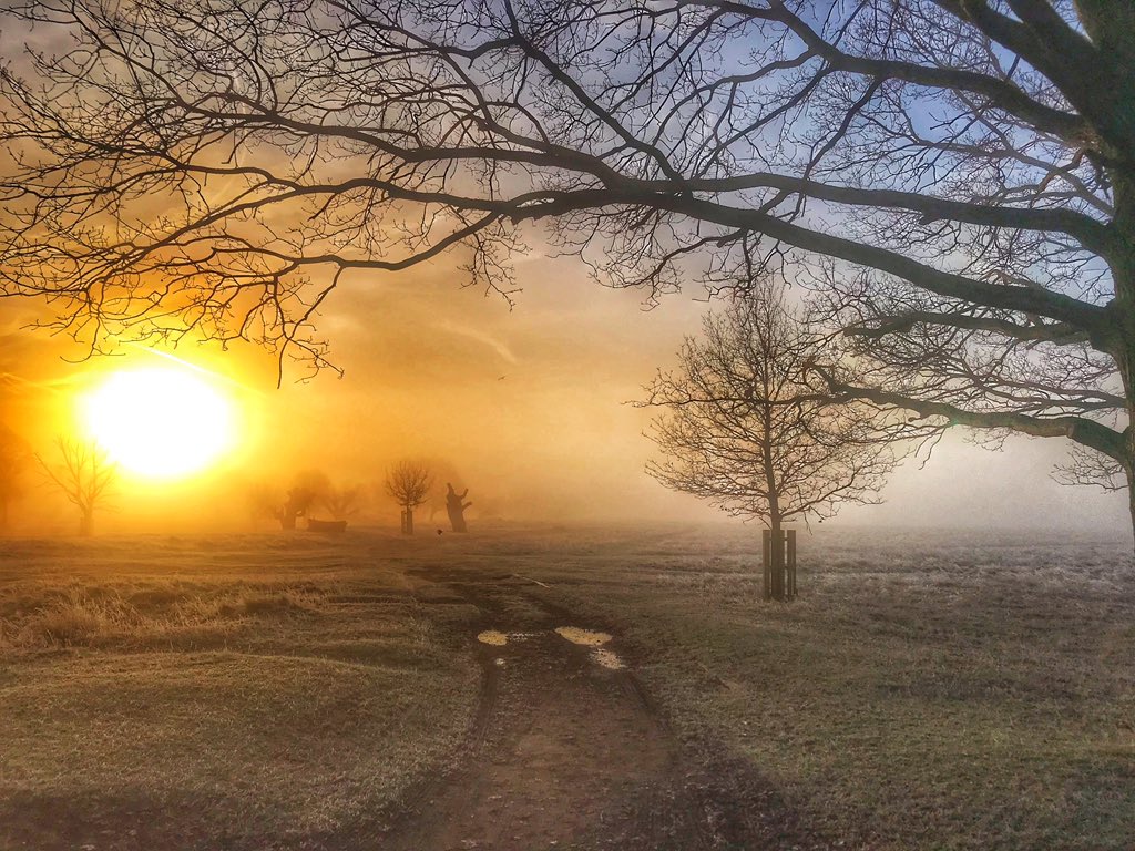 Breathe_to_win's tweet photo. Spring has Sprung in the UK. #nomorewinterplease #outdoors https://t.co/RdCo3ZjFyg