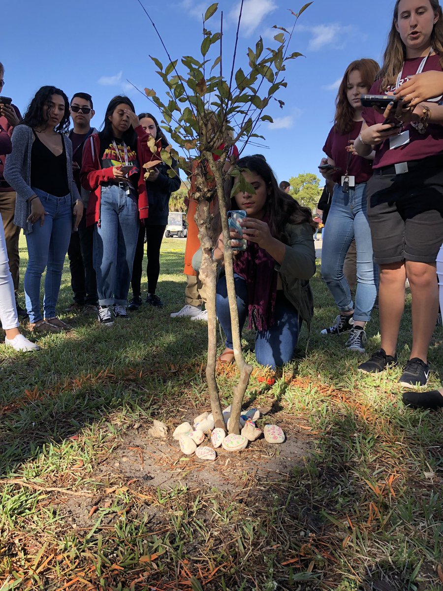 shsthetribe's tweet photo. Santaluces held a MSD tree planting ceremony to remember those who lost their lives one year ago #MSDstrong #StrongerTogether #Unbreakable https://t.co/1rgw0t3CWv