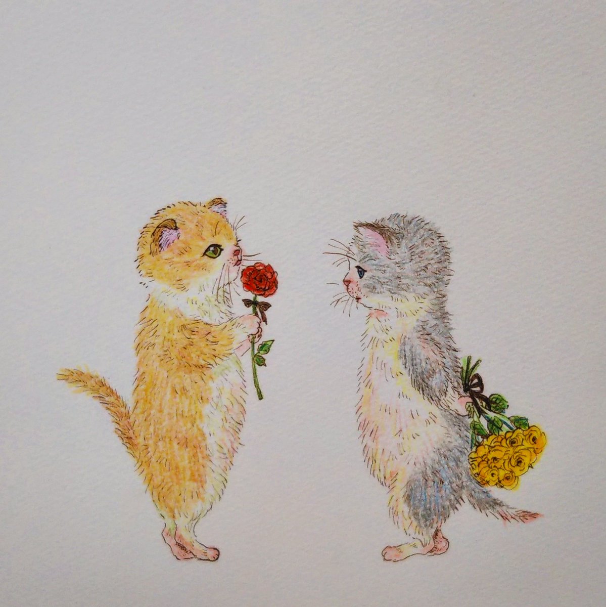 いしかわめぐみ Twitter પર 子猫のバレンタインデー 海外ではお花をあげる国が多いみたいですね なんとなく花言葉を調べてから描いたらバラの花言葉の多さにびっくりしました 赤いバラ 愛 1本 あなたしかいない 黄色いバラ 友情 15本 ごめんなさい 猫