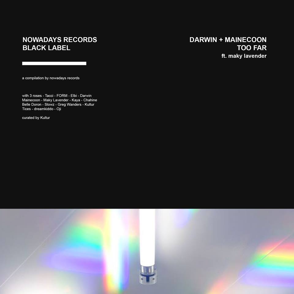 Mainecoonmusic tweet media