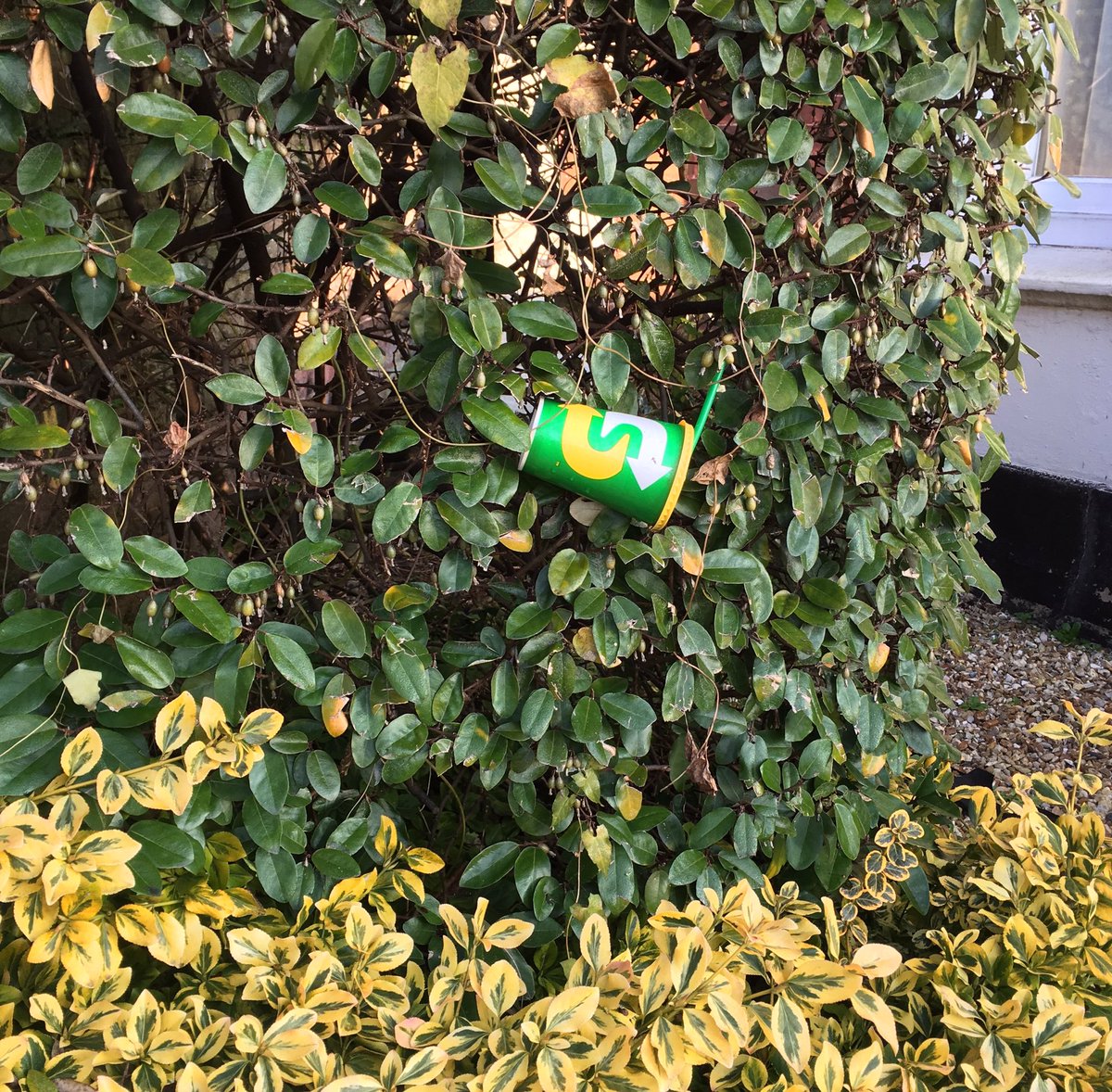 becimay's tweet image. ‘No two can meet the way that we have met’ #WSGraham