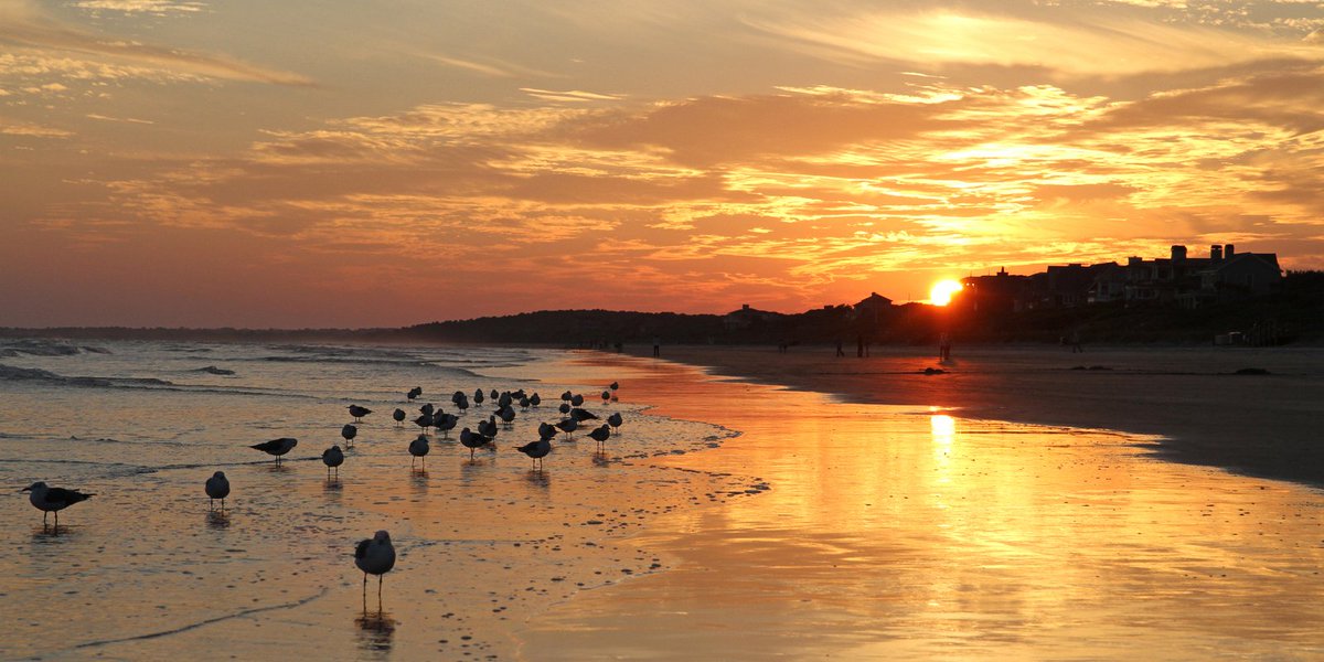 theadvguides's tweet photo. Kiawah Beachwalker Park (Charleston) https://t.co/7wNeJ7fE2i https://t.co/aHlaJ6vp0g