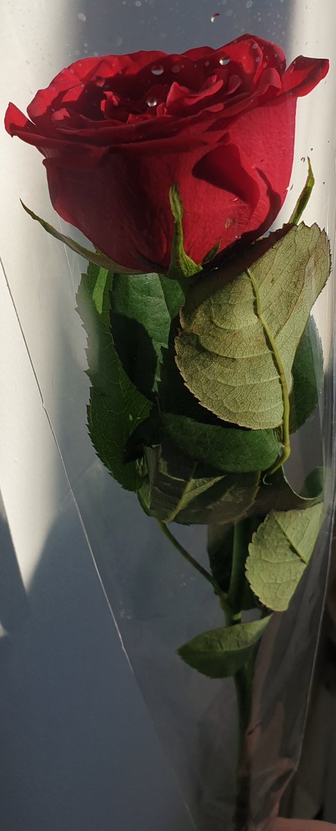 TotalCleanServ's tweet image. Spreading the love here at Total Clean #ValentinesDay