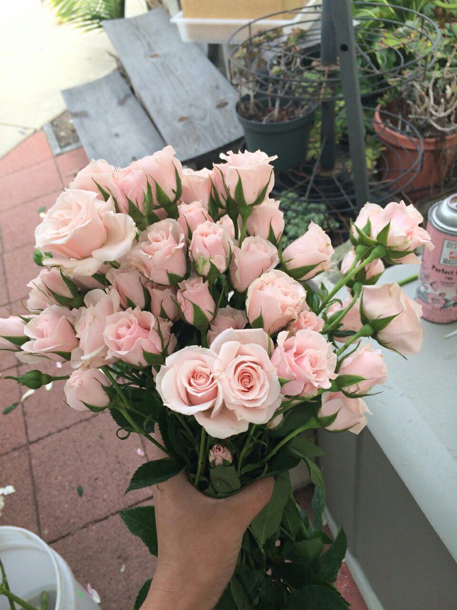 blackxJ's tweet photo. home sweet home ❥ ; #bobjun

Chapter : { Special } 🌹#ValentinesWINKON 

🔗 : https://t.co/BHkDGSwgl6

👬 : #bobjun

hashtag : #บ้านนี้มีbj 

🙏🏻🙇🏻‍♀️Pls RT @WinThaiFictions @ksf_ikon @bobjun9597 
==================
ฟิคเฉพาะกิจกรรมเดี๋ยวลงดึกๆนะคะขอยาดพาดพิงแท็ก ถ้าไม่ได้เดี๋ยวลบค่ะ https://t.co/t1FVB5M2hA