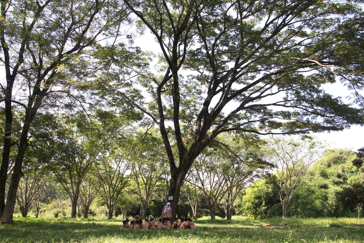 Taman Buah Mekarsari On Twitter Petualangan Sd Al Azhar