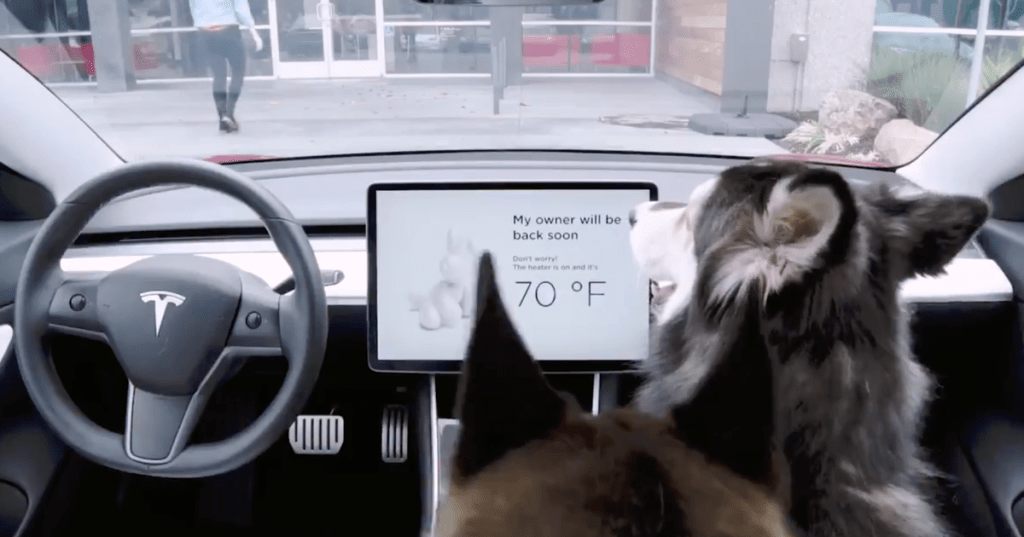 TechimpactO's tweet image. Farting, pets securing and other car functionalities techimpact.online/2019/02/fartin…