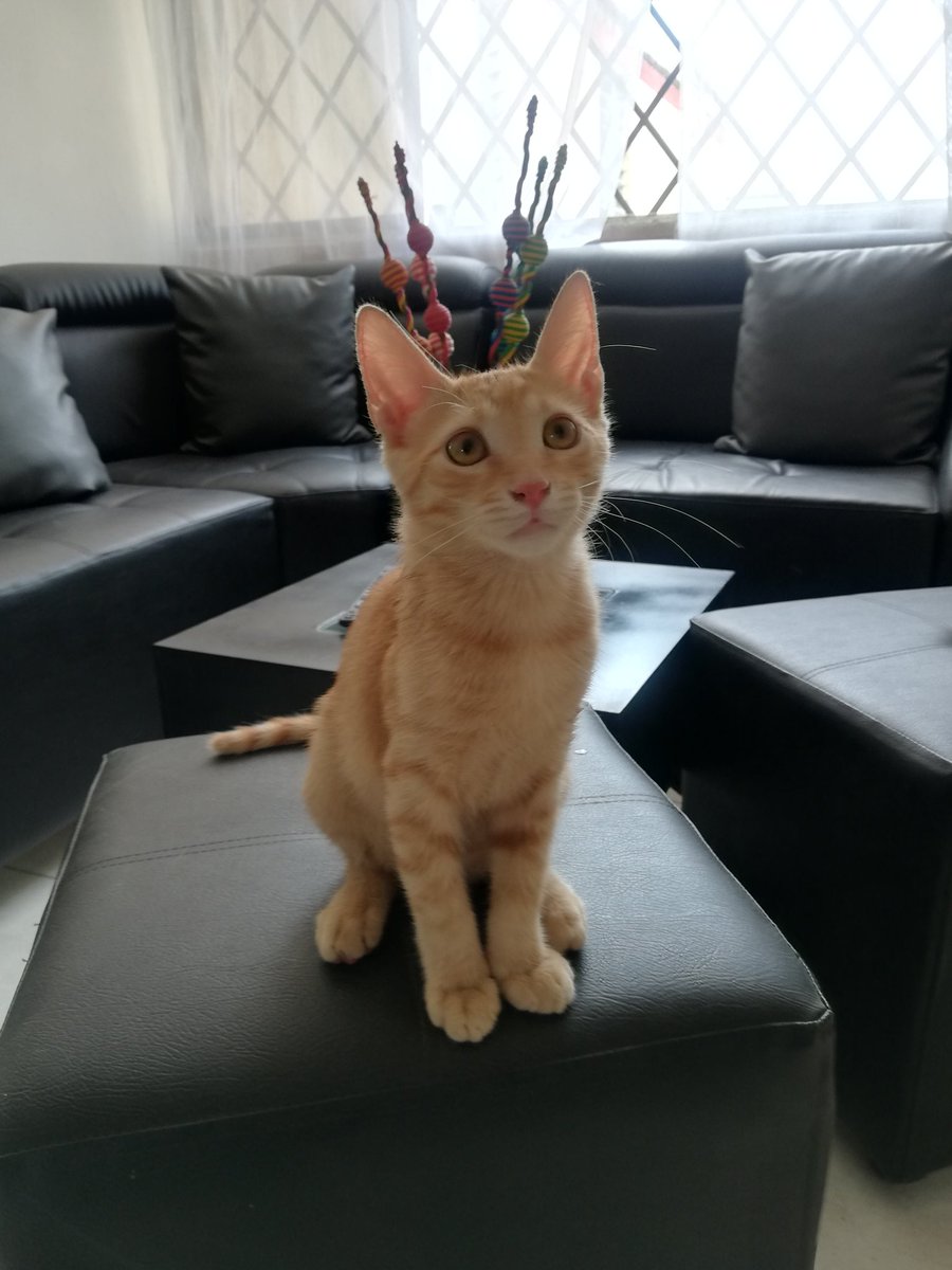 Juan Tubio tweet media