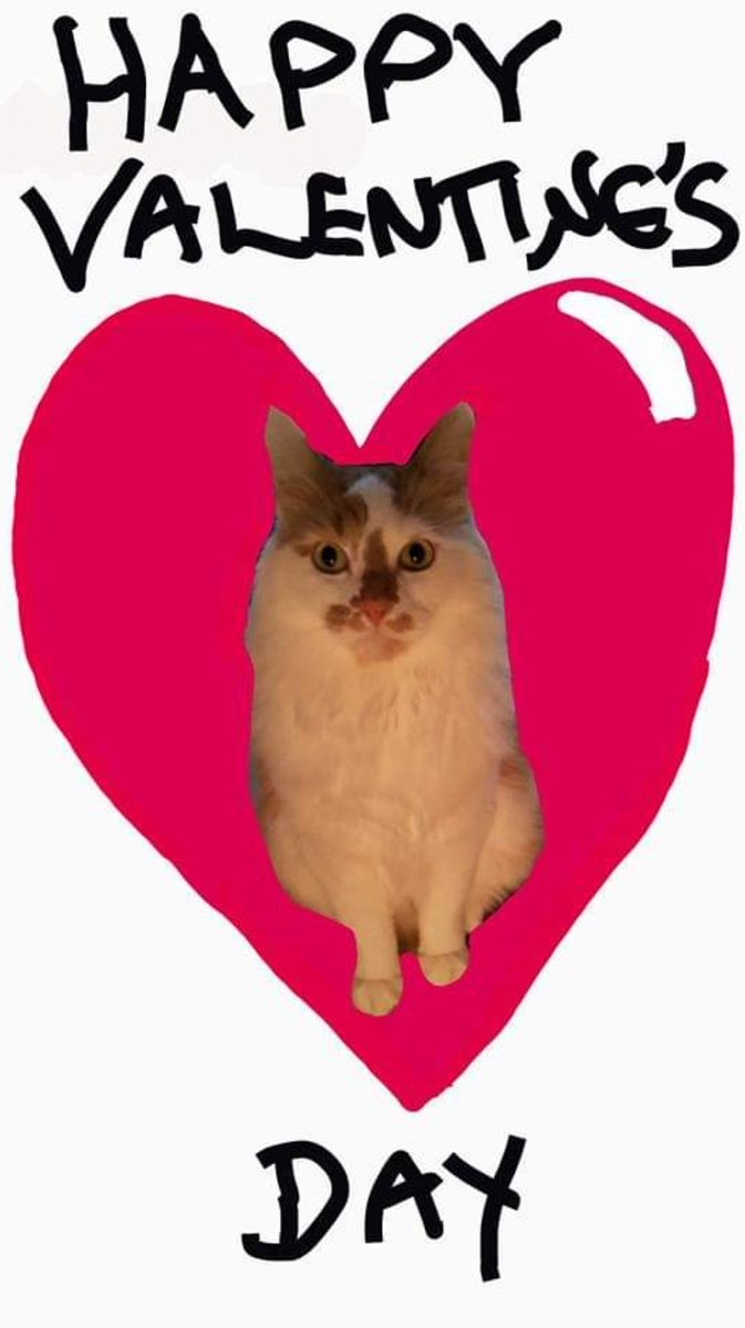 sweetbabylogan's tweet photo. Happy #ValentinesDay https://t.co/ht4VcAkOo4