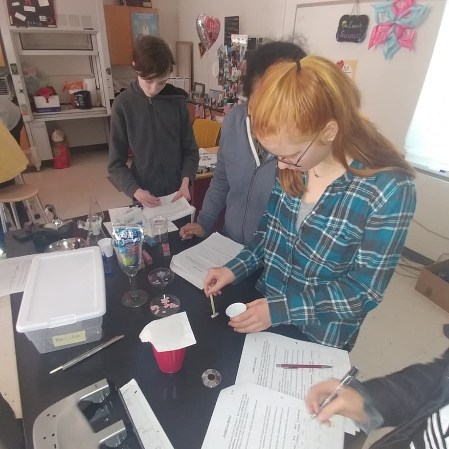 EZAVID's tweet image. Which is it acid or base? #myscienceclass #handsonlearning #CHEMISTRY #arewedoingalab @henleyhornets