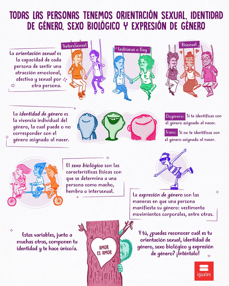 infografia diversidad genero bilaketarekin bat datozen irudiak