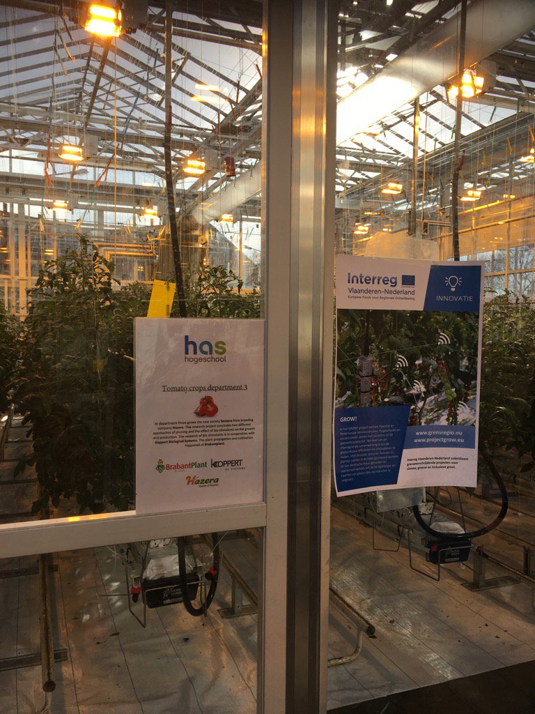 Kennisdeling tussen onderzoeksinstellingen, telers, bedrijven bij HAS hogeschool NL #projectGROW! <a href="/InterregVLANED/">Interreg Vlaanderen-Nederland</a>