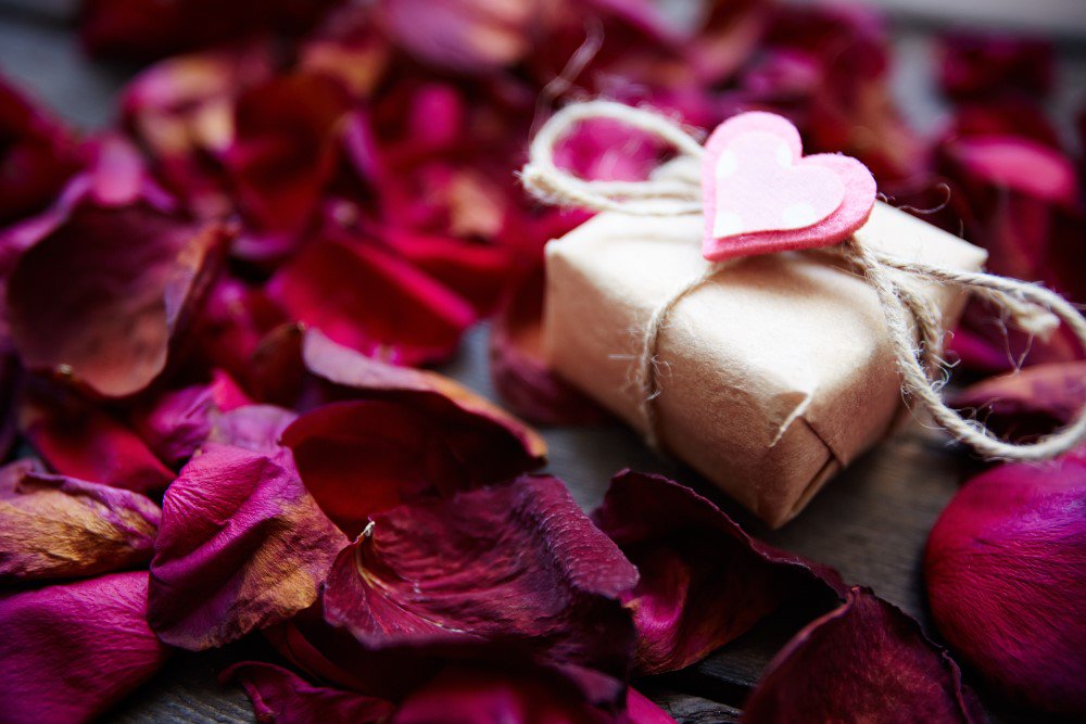 spcustompools's tweet photo. Happy Valentine’s Day! https://t.co/YpvvV0psdc